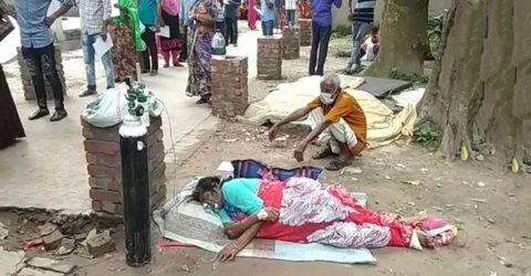 যশোরে করোনা চিকিৎসা হচ্ছে গাছতলায়!!