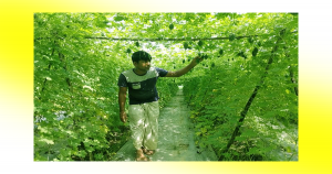 ঢাকা থেকে ফিরে সবজি চাষ করে সফল আবদুল আলীম