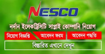 নর্দান ইলেকট্রিসিটি কোম্পানিতে চাকরি