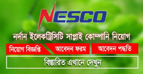 নর্দান ইলেকট্রিসিটি কোম্পানিতে চাকরি