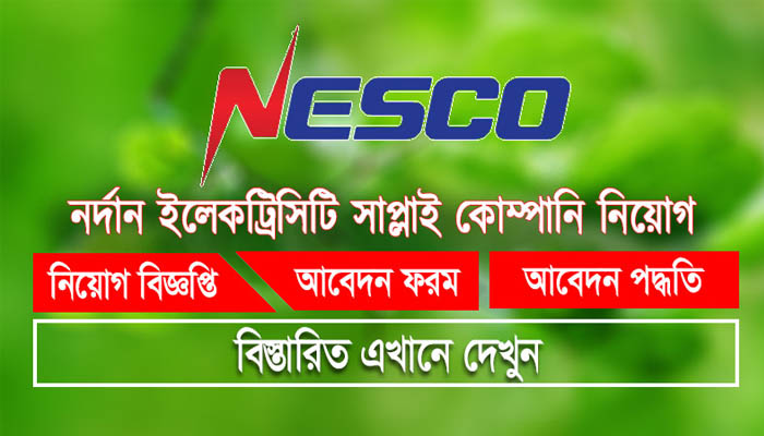 নর্দান ইলেকট্রিসিটি কোম্পানিতে চাকরি